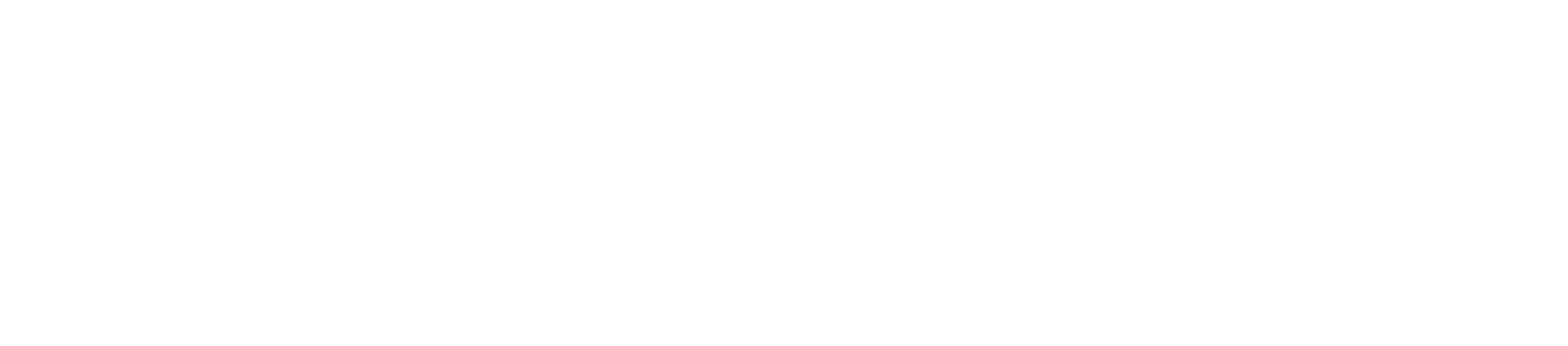 Barentz logo in white