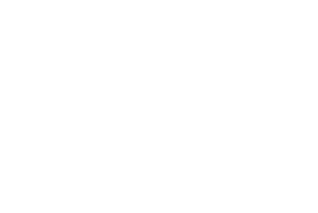 DS Smith logo in white