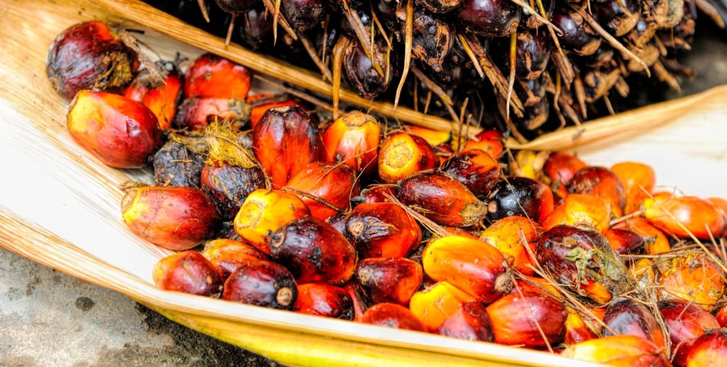 palm oil