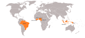 cocoa producing countries