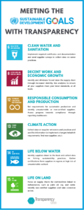 UN Sustainable Development Goals and Transparency