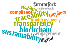 supply chain buzzwords