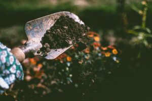 Person digging soil with shovel